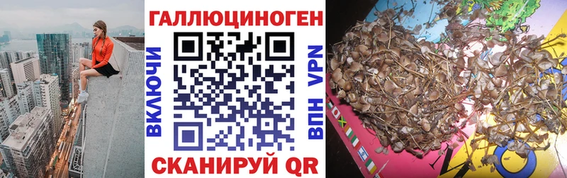 Галлюциногенные грибы прущие грибы  Катайск 