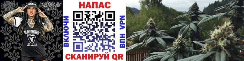 МАРИХУАНА семена  магазин    OMG ССЫЛКА  Катайск 